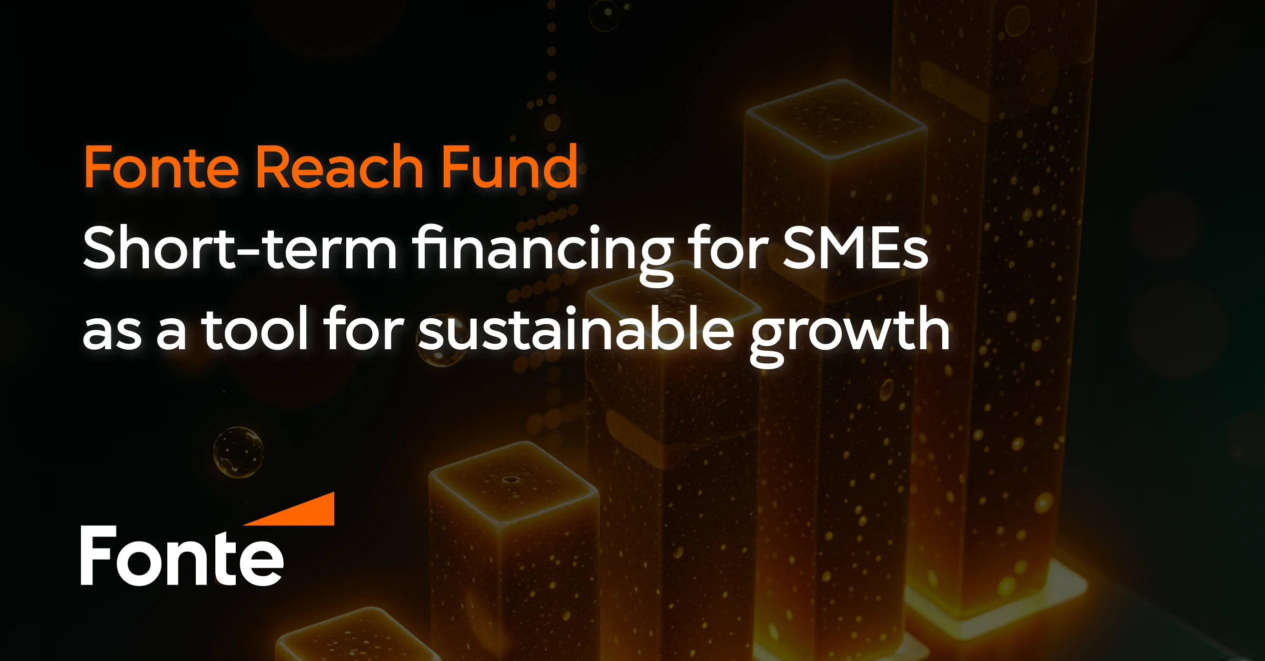 Fonte Reach Fund: Short-Term financing for SMEs as a tool for sustainable growth